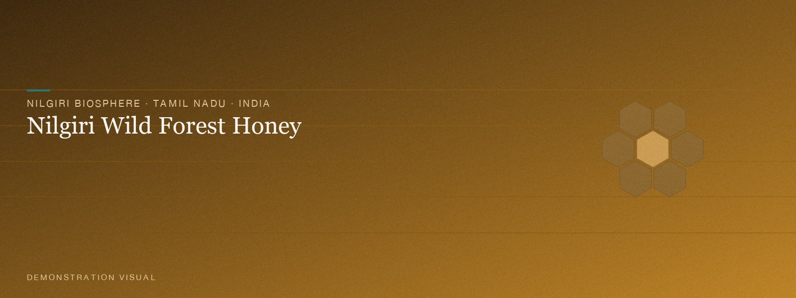 Nilgiri Wild Forest Honey — Hero