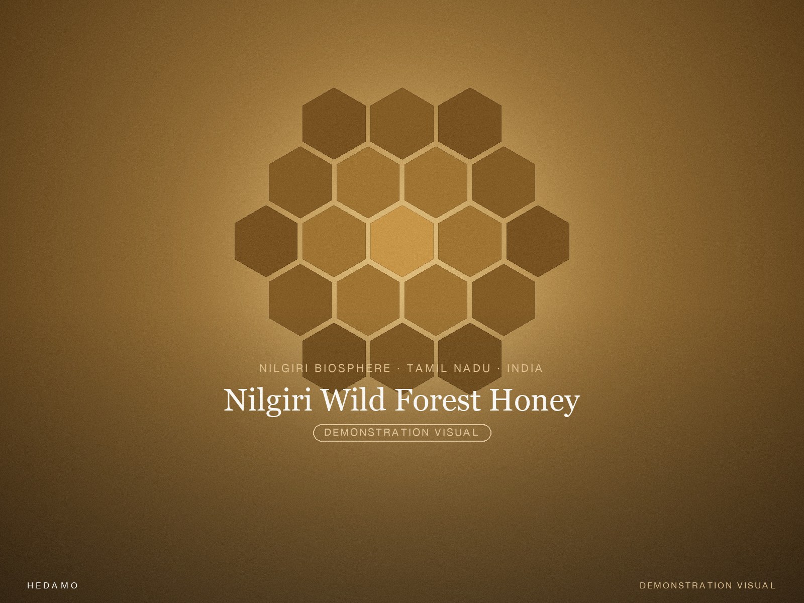 Nilgiri Wild Forest Honey — Hero