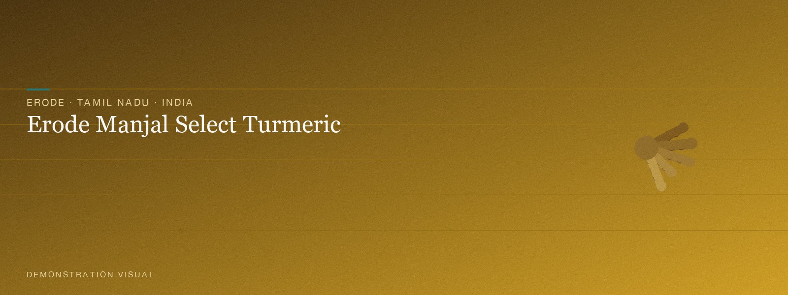 Erode Manjal Select Turmeric — Banner