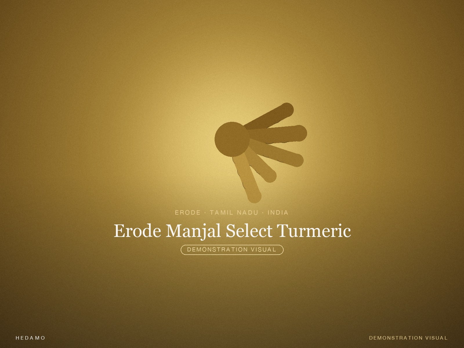 Erode Manjal Select Turmeric — Hero