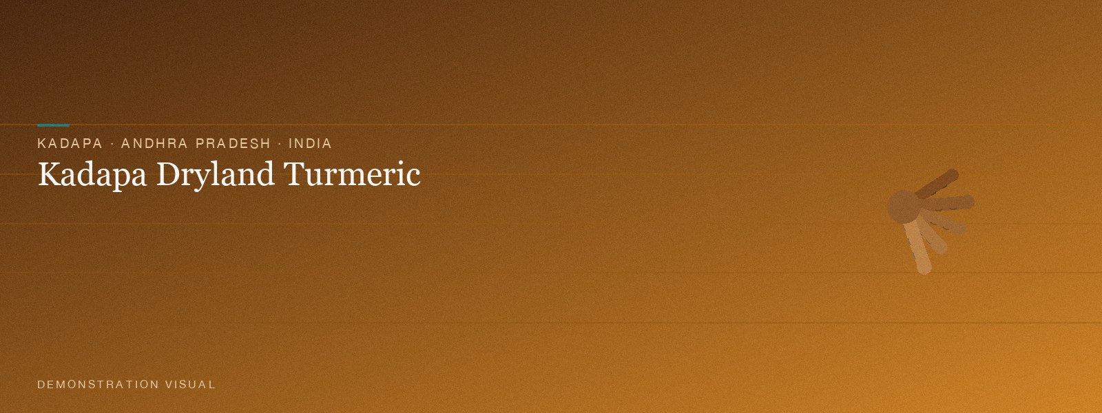 Kadapa Dryland Turmeric — Hero