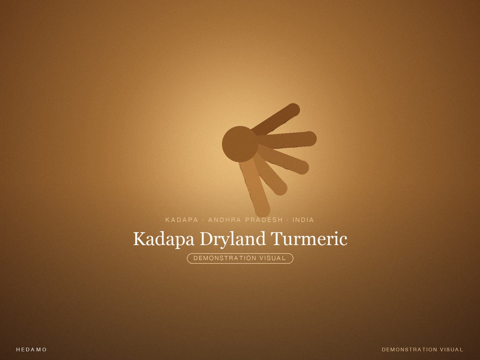 Kadapa Dryland Turmeric — Hero