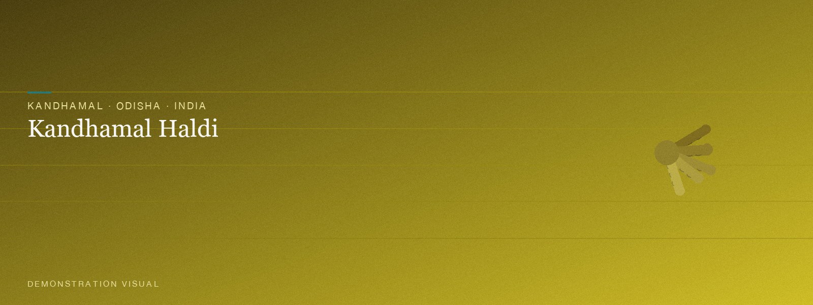 Kandhamal Haldi (Tribal Organic) — Banner