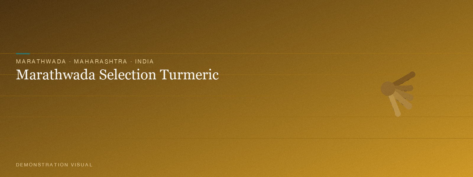 Marathwada Selection Turmeric — Hero