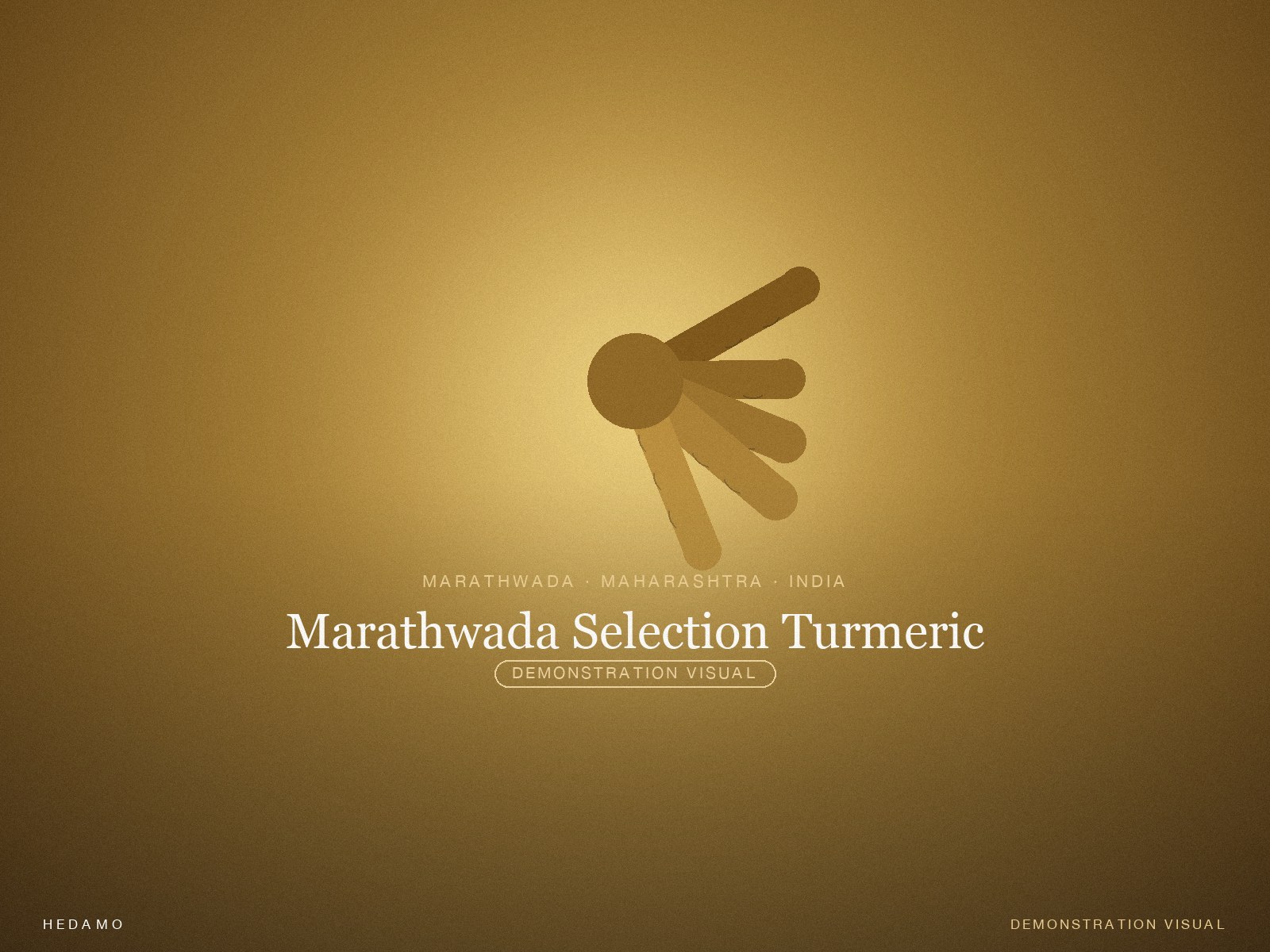 Marathwada Selection Turmeric — Hero