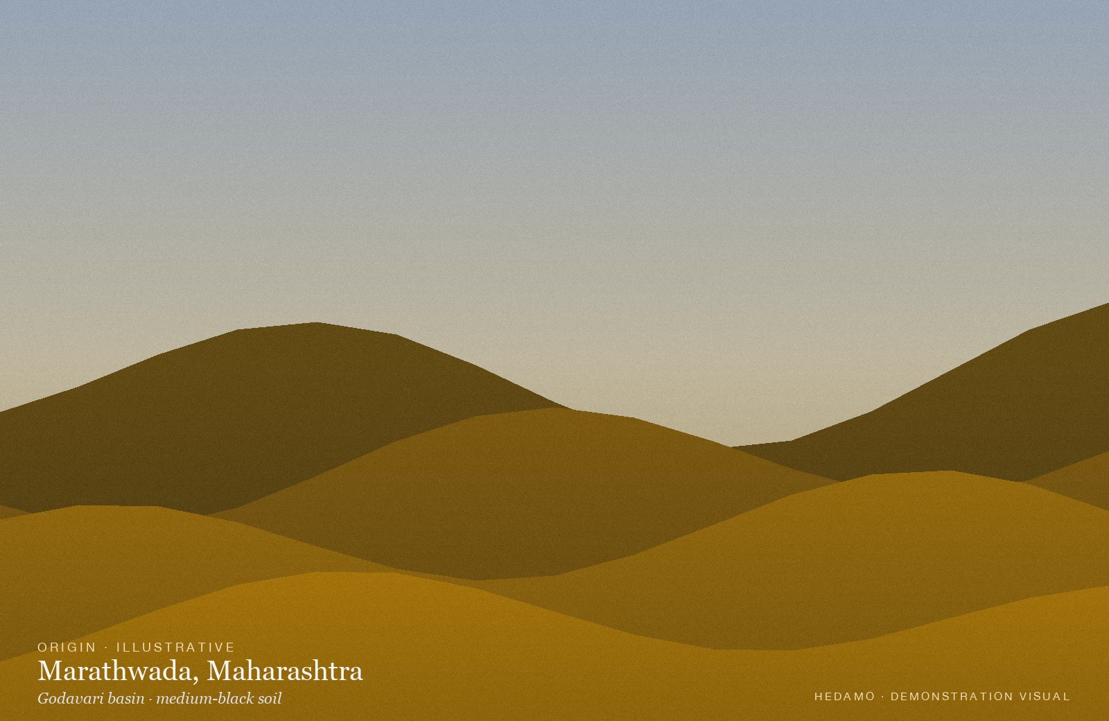 Marathwada Selection Turmeric — Place