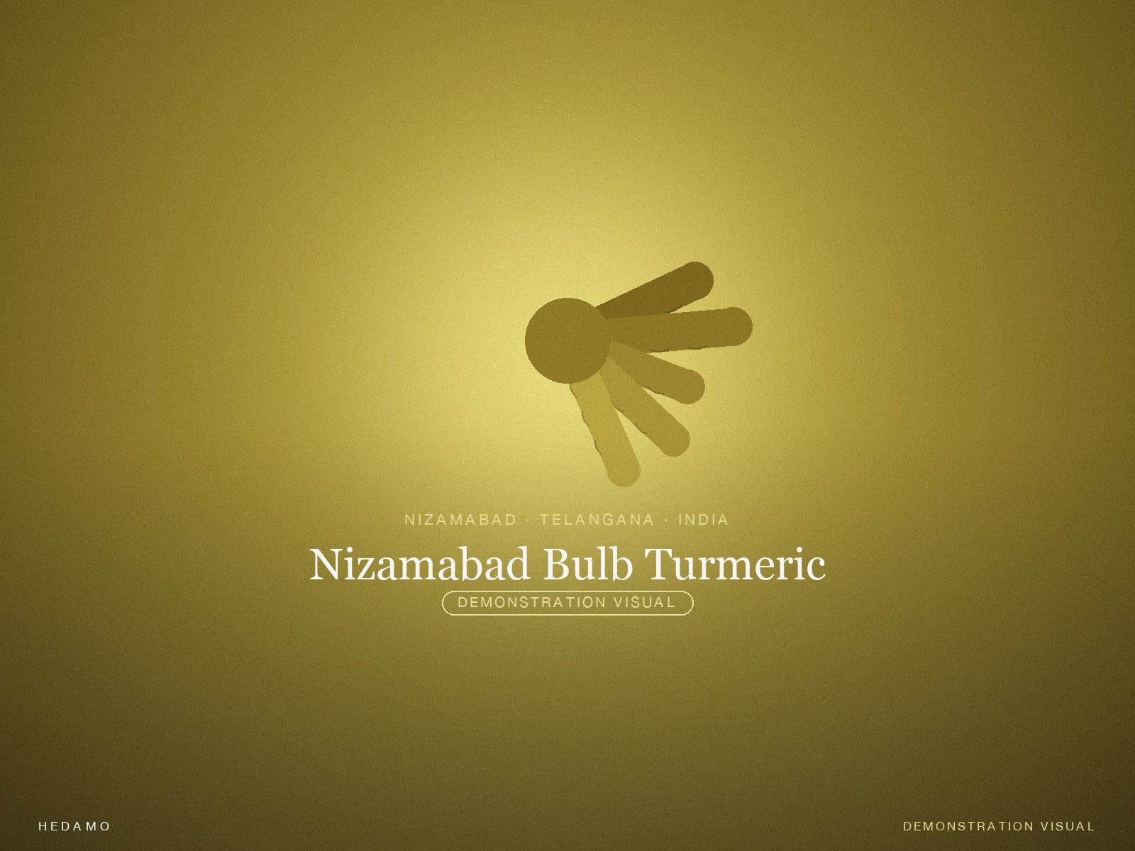 Nizamabad Bulb Turmeric — Hero