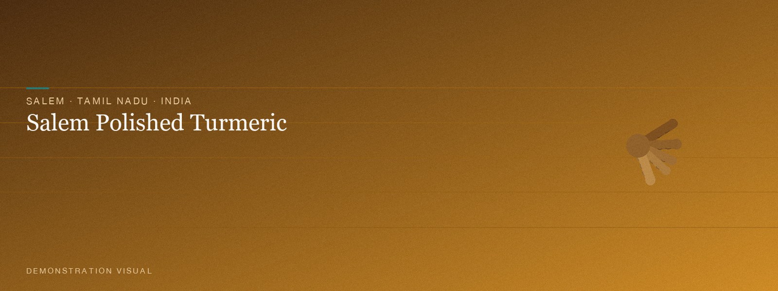 Salem Polished Turmeric — Hero