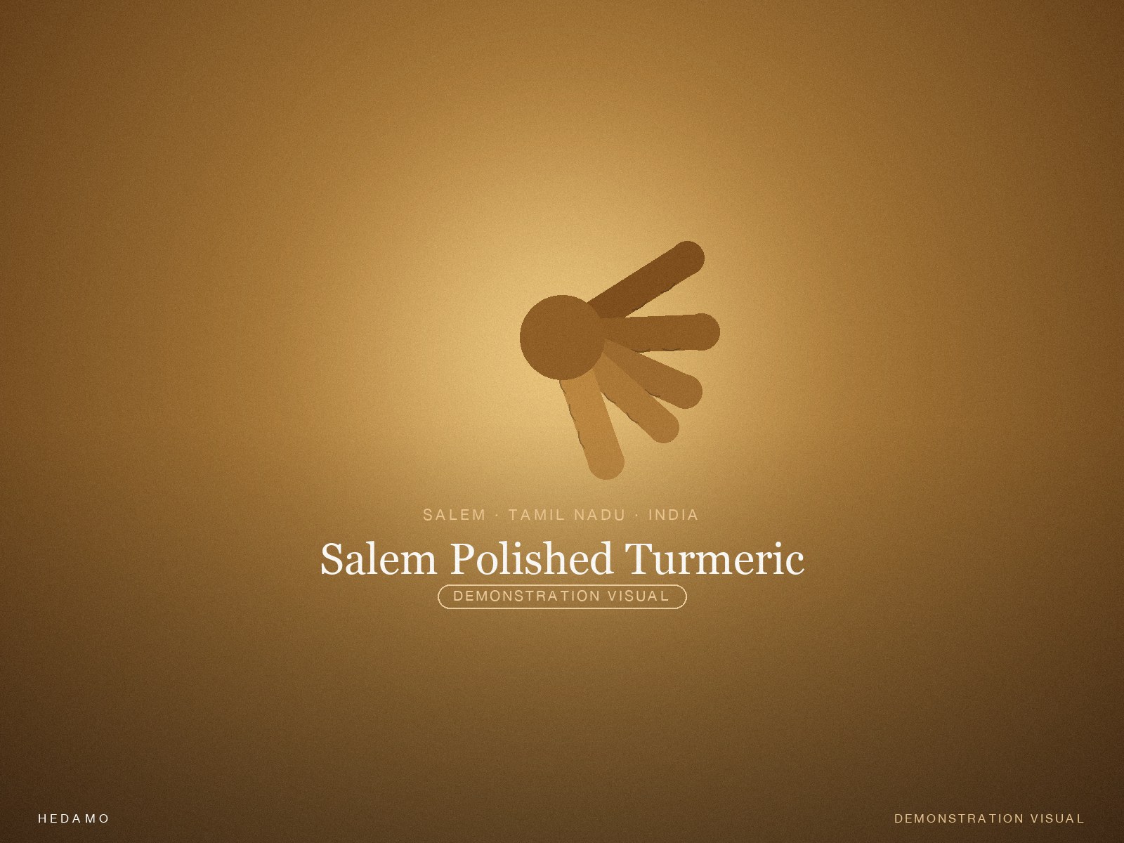 Salem Polished Turmeric — Hero