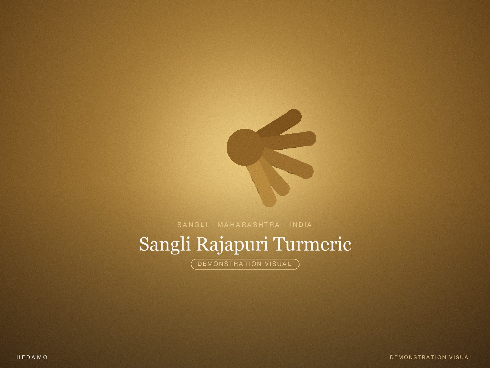 Sangli Rajapuri Turmeric — Hero