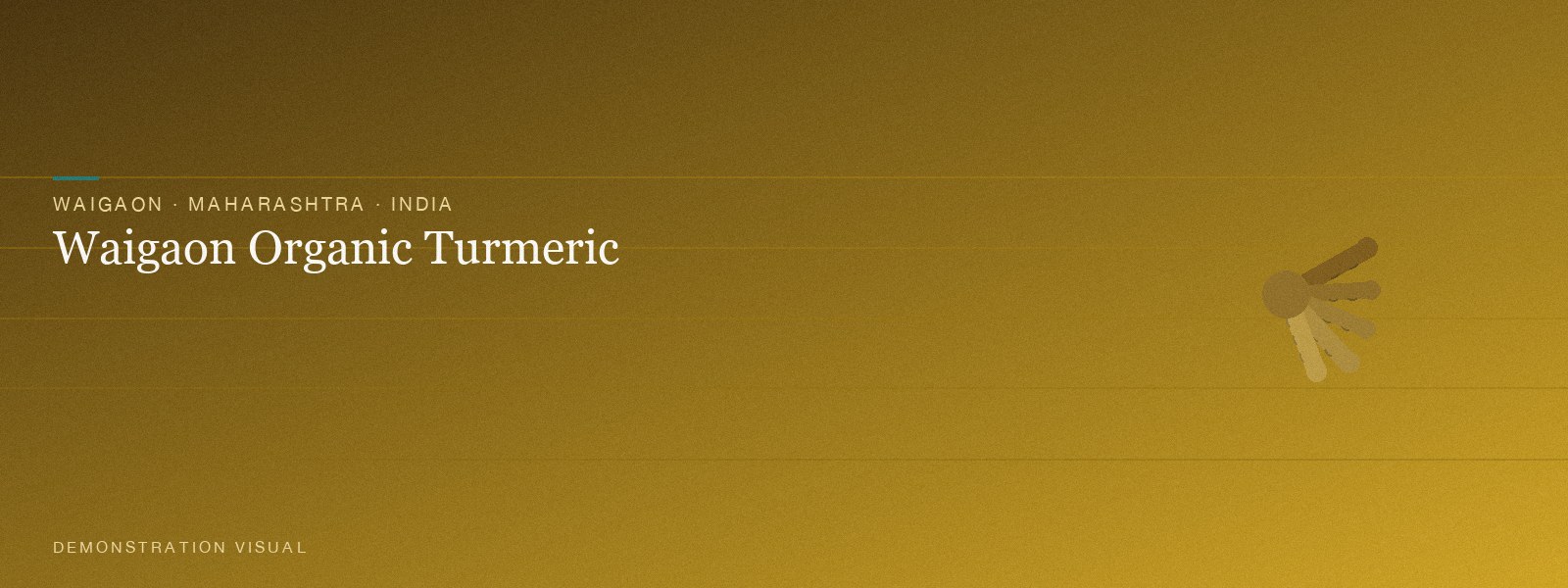Waigaon Organic Turmeric — Hero