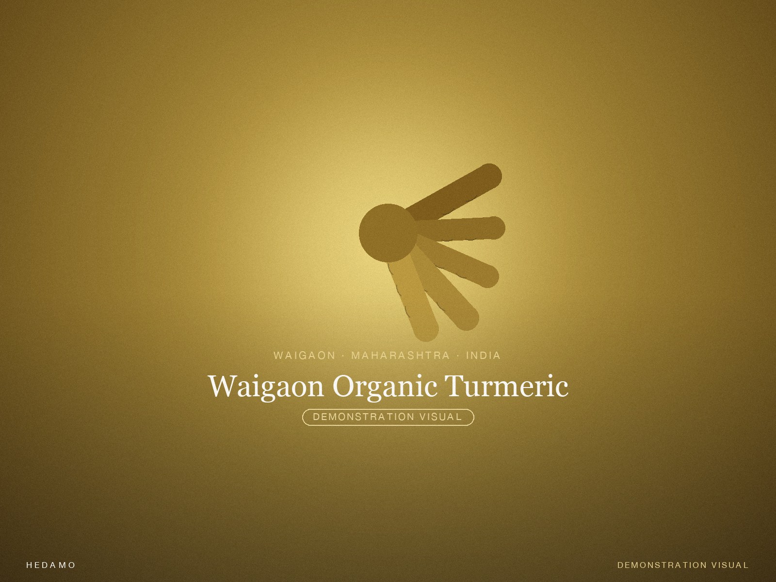 Waigaon Organic Turmeric — Hero