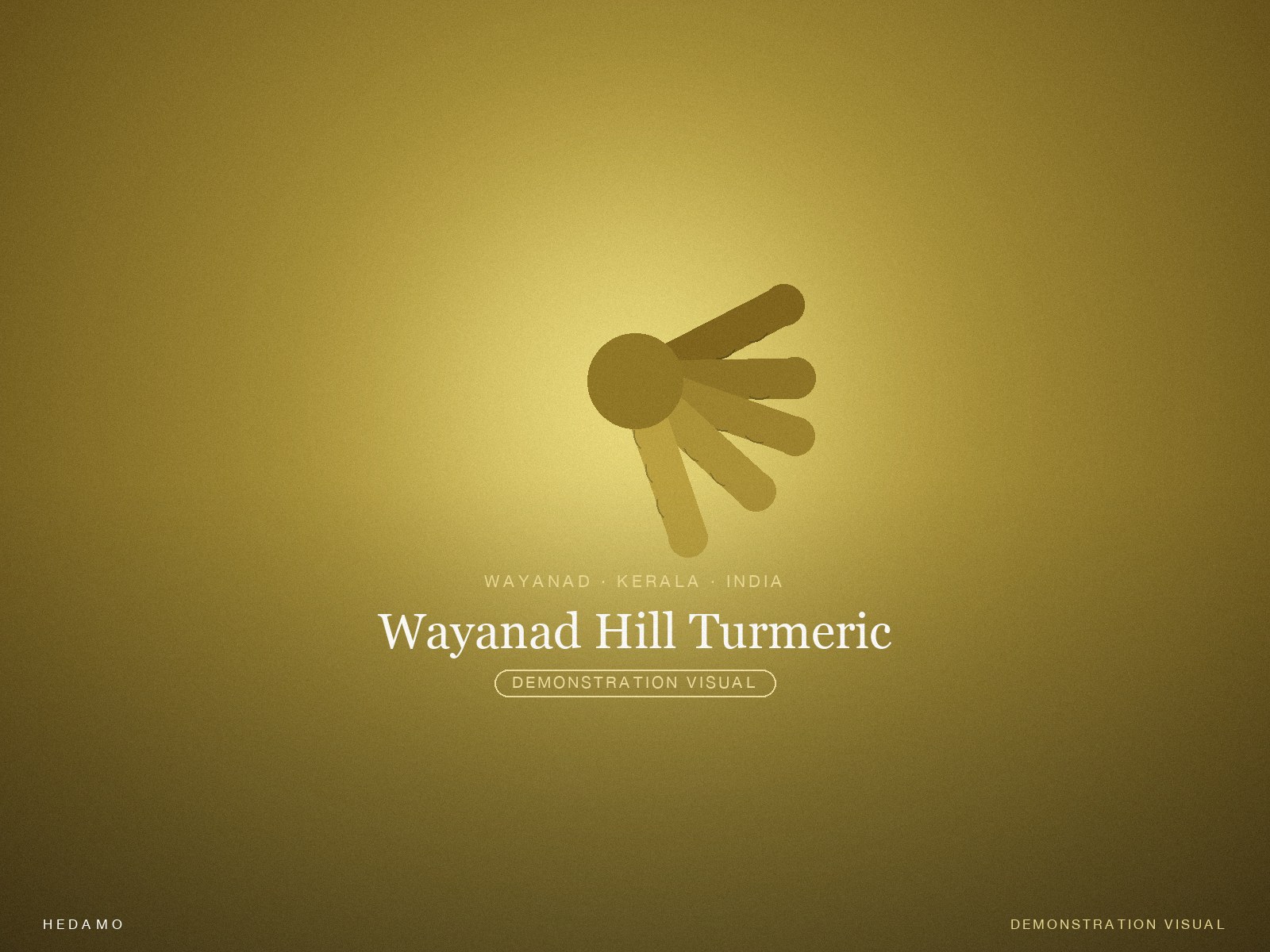 Wayanad Hill Turmeric — Hero